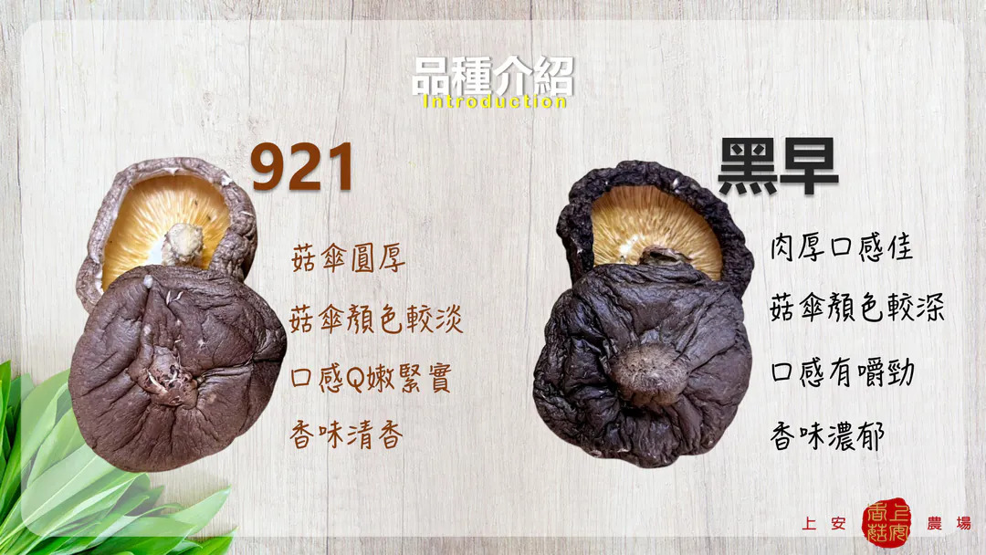 content_5f062a64-a712-4433-bc4b-936bf96c6978