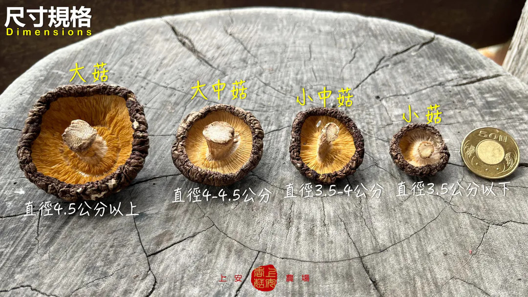 content_9c56c7ab-2916-4c54-9885-79fdd343fc8a