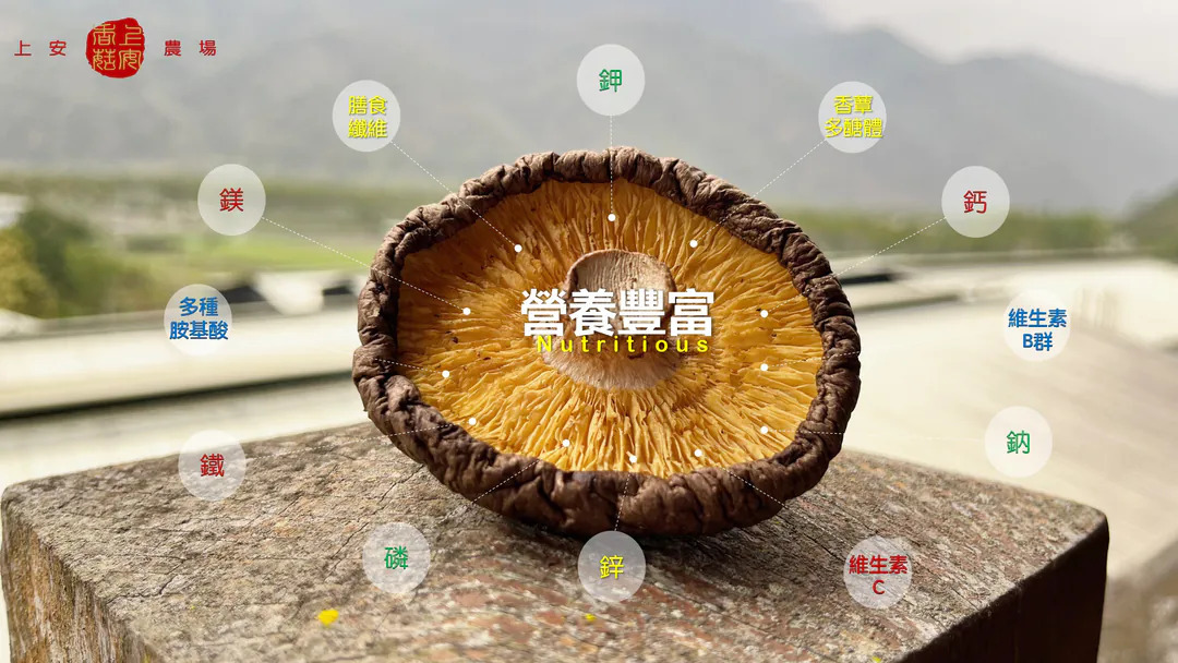 content_d21926f4-cb9b-4e68-982d-da3d5bedaed4