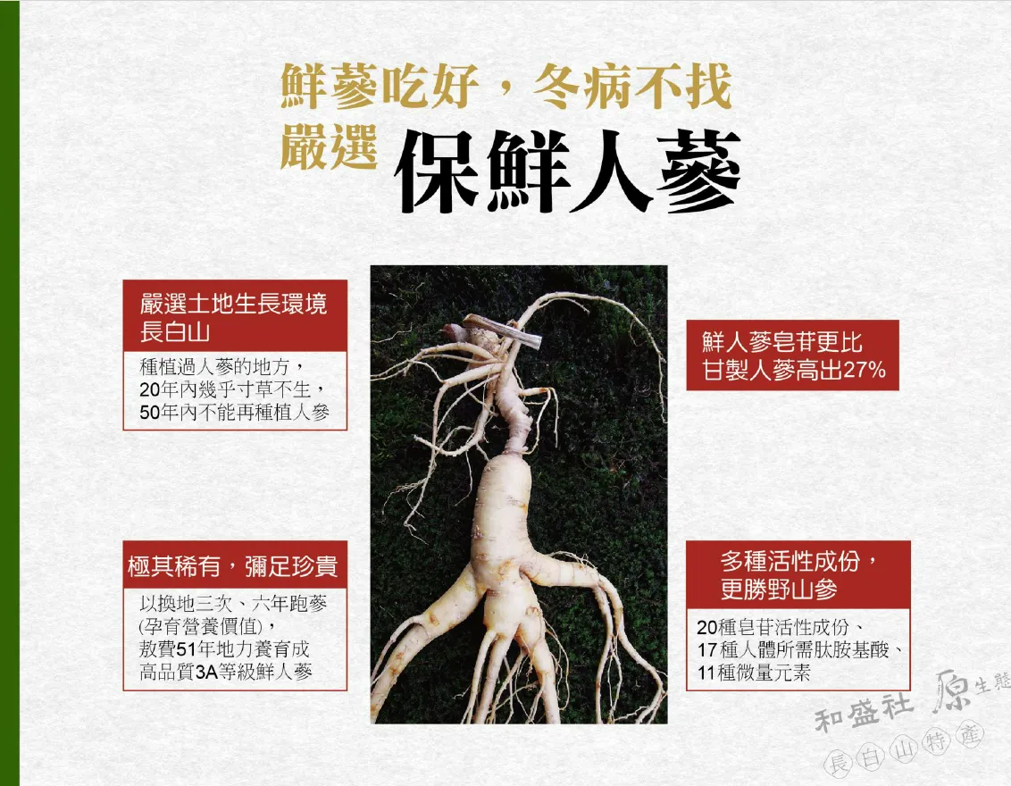 ginseng4