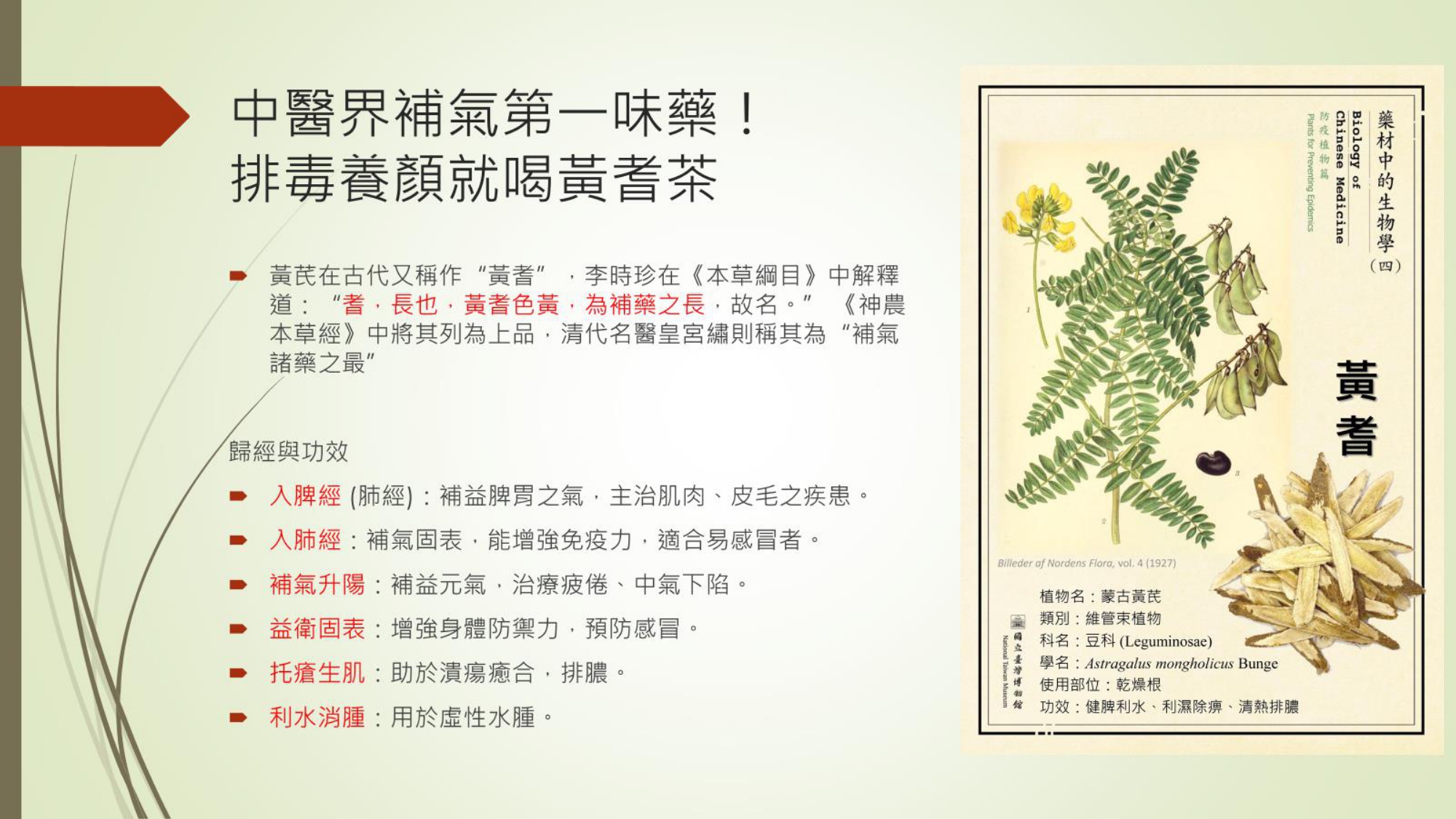 黃耆與安迪湯_page-0001