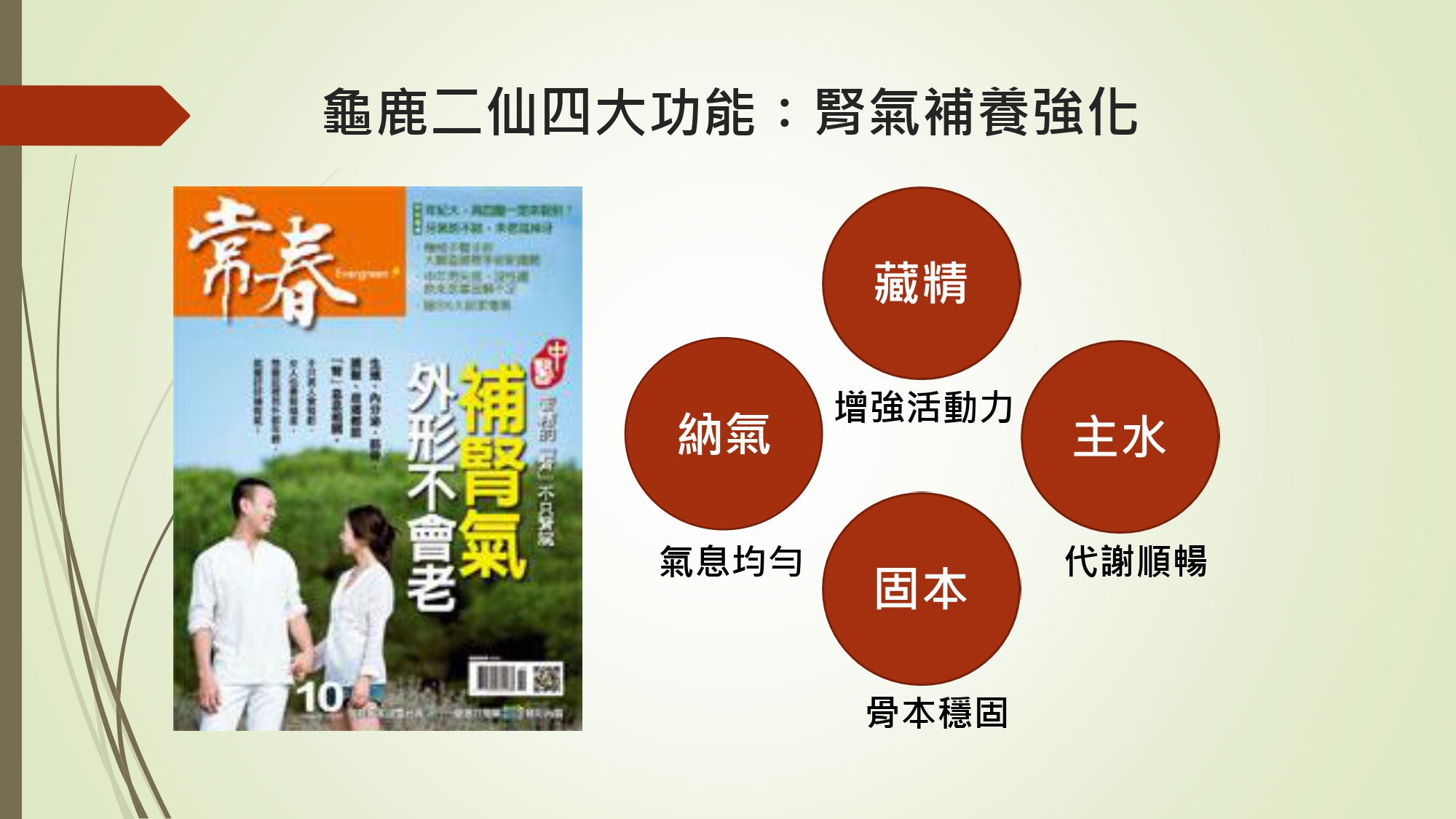 596230707588628686_和盛記長生雙寶食品級龜鹿膠_page-0004