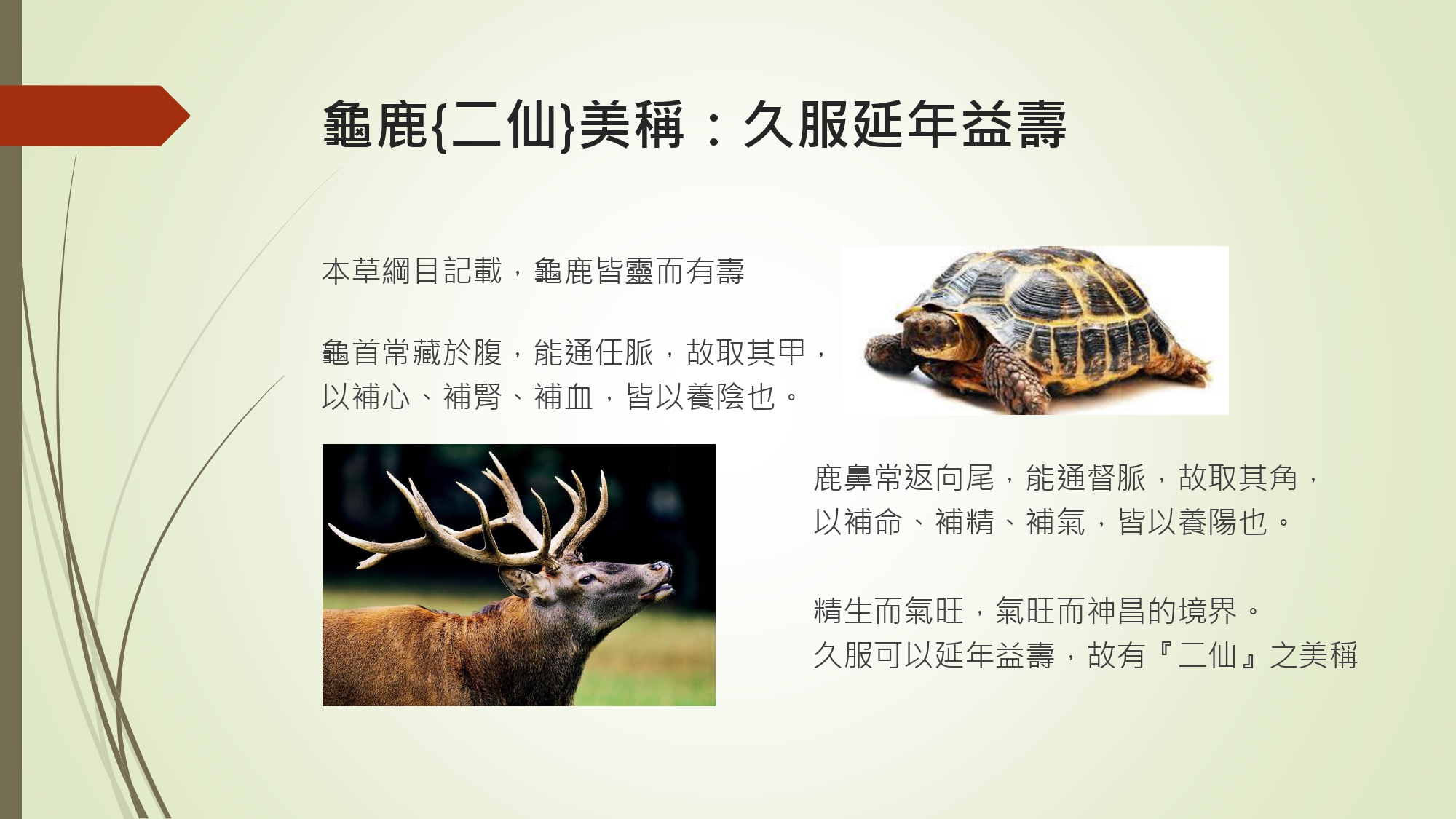 596230707588628686_和盛記長生雙寶食品級龜鹿膠_page-0002