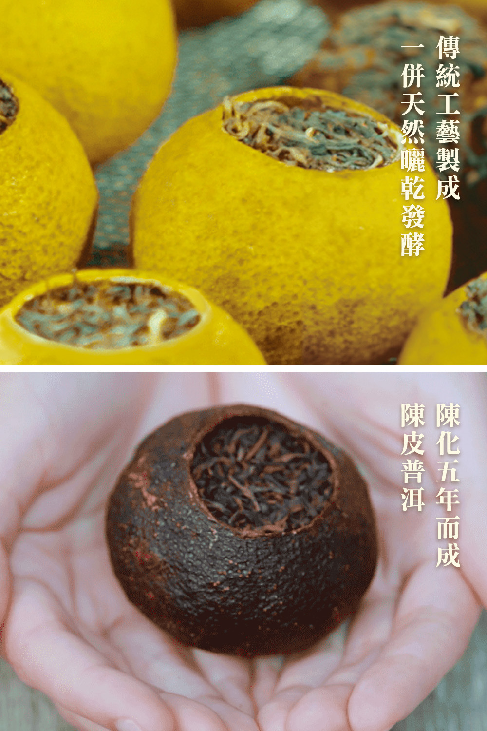 content_3c6ca048-07c8-4d83-bd9c-06854a679d15