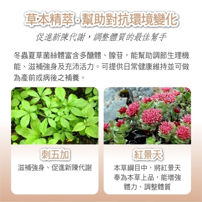 P5028607608133_4_90834670