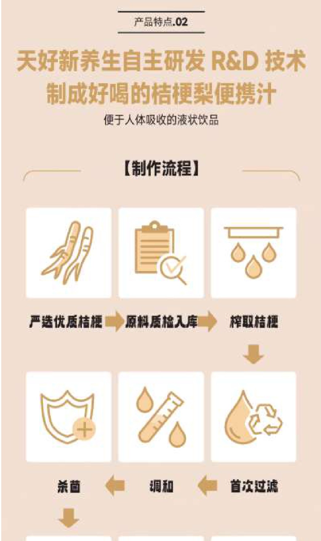 Copy of pear & balloon stick CHUNHO桔梗梨汁_page-0006