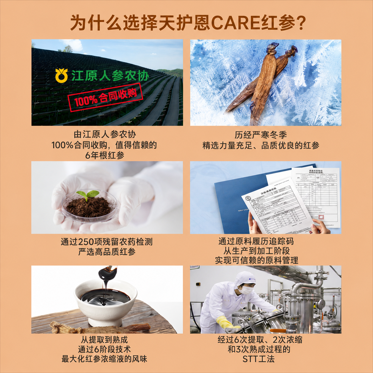 资料一套 (3)