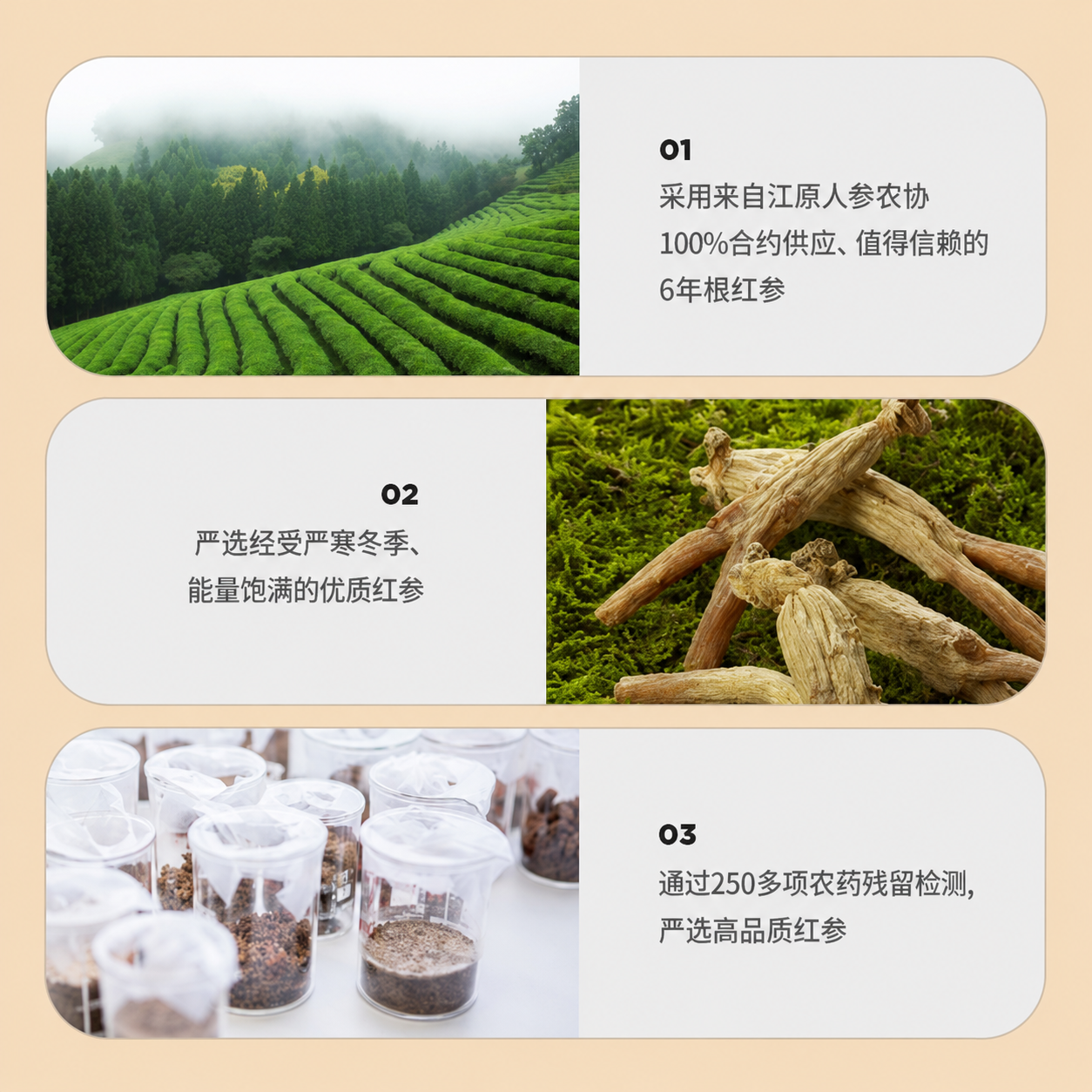 资料一套 (10)