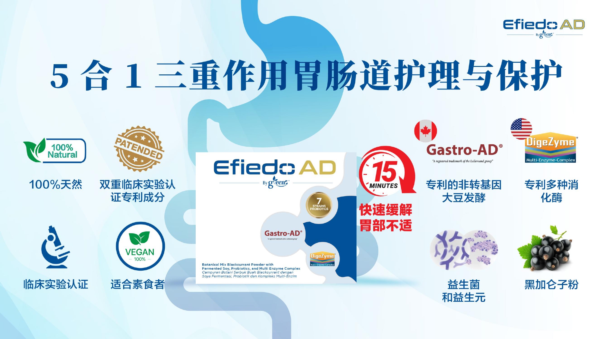 GREENS Efiedo AD 养胃护肠5保粉