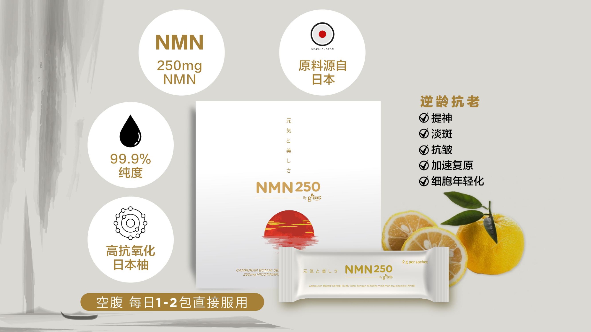 nmn250-3