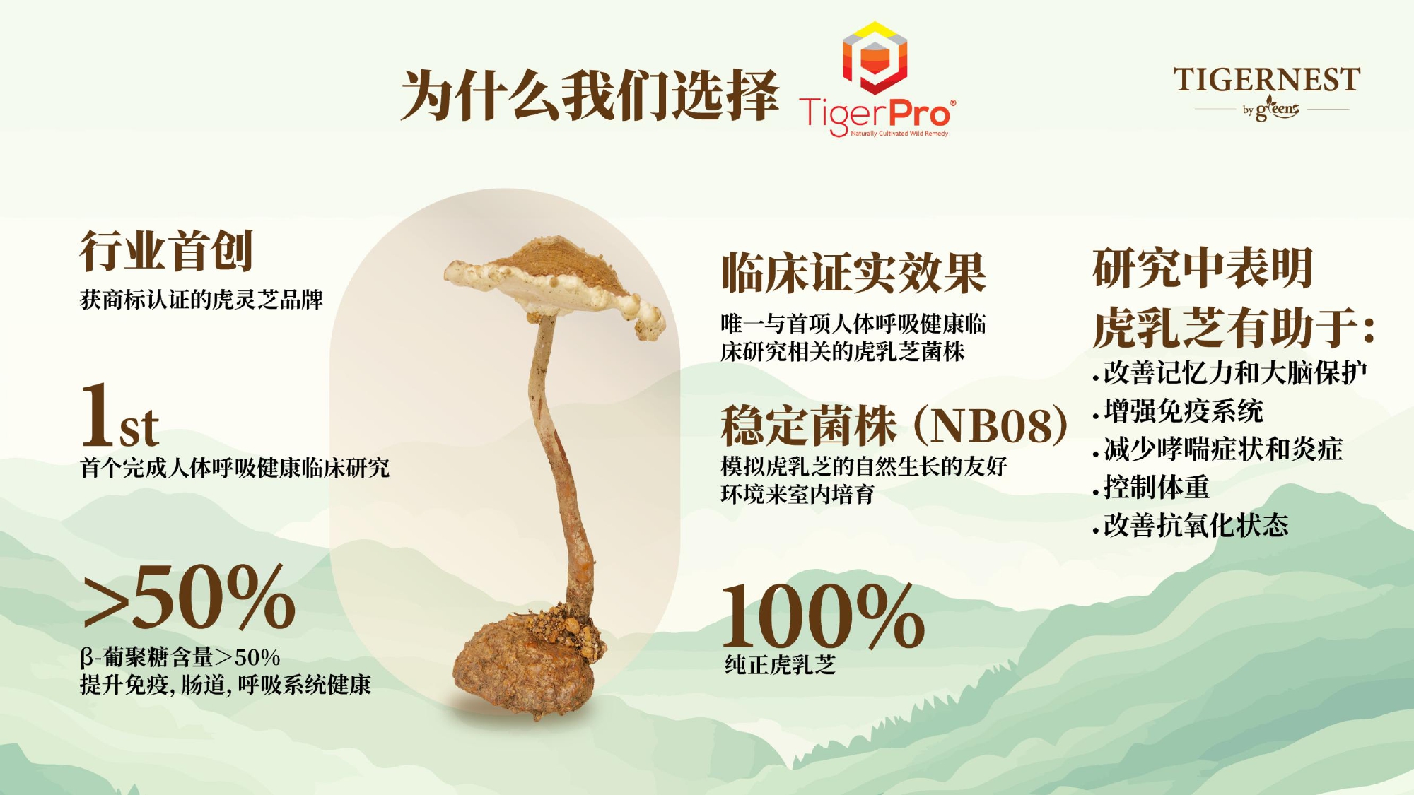 Product Info (THJ)_page-0009