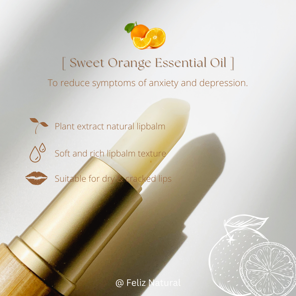 81219B79-3257-456B-AAE6-C1961BF0D898