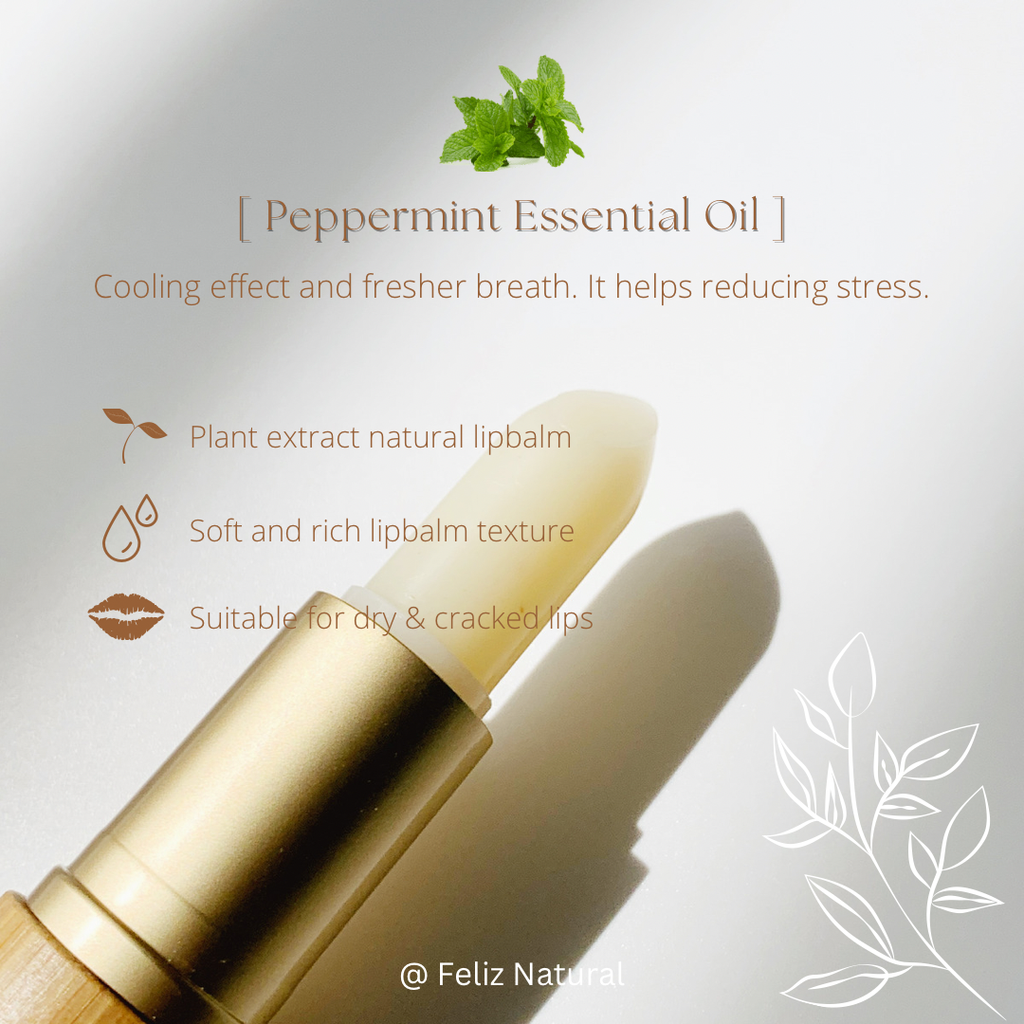 7325EEBC-1747-41B3-B247-DFFFC5AC8AFB