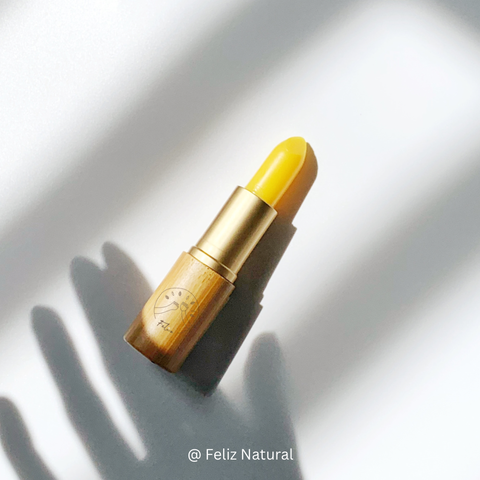 50694261-9B76-4082-86B1-78E626A6F6A6