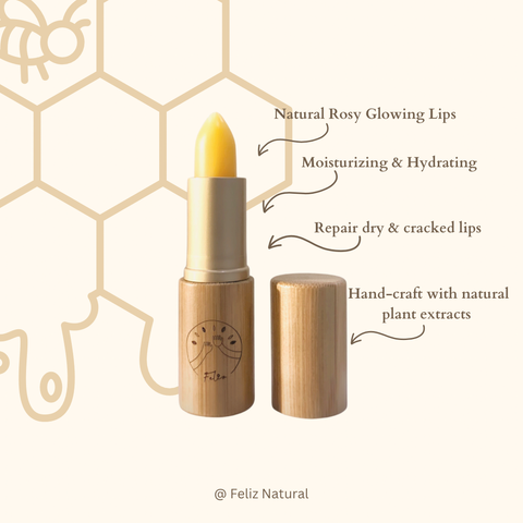 C3561C1E-6671-48E1-A93C-7136C12DAE55