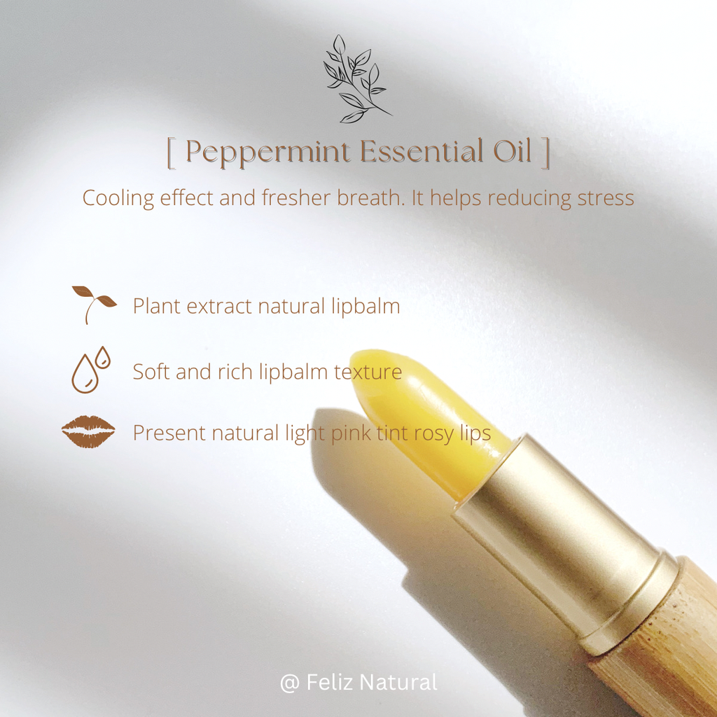 02155556-4230-4220-A198-1FB08C9AB3D8