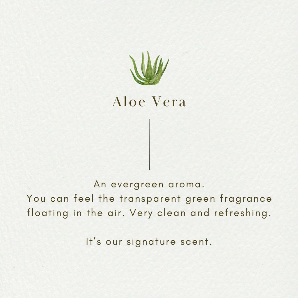 Aloe Vera