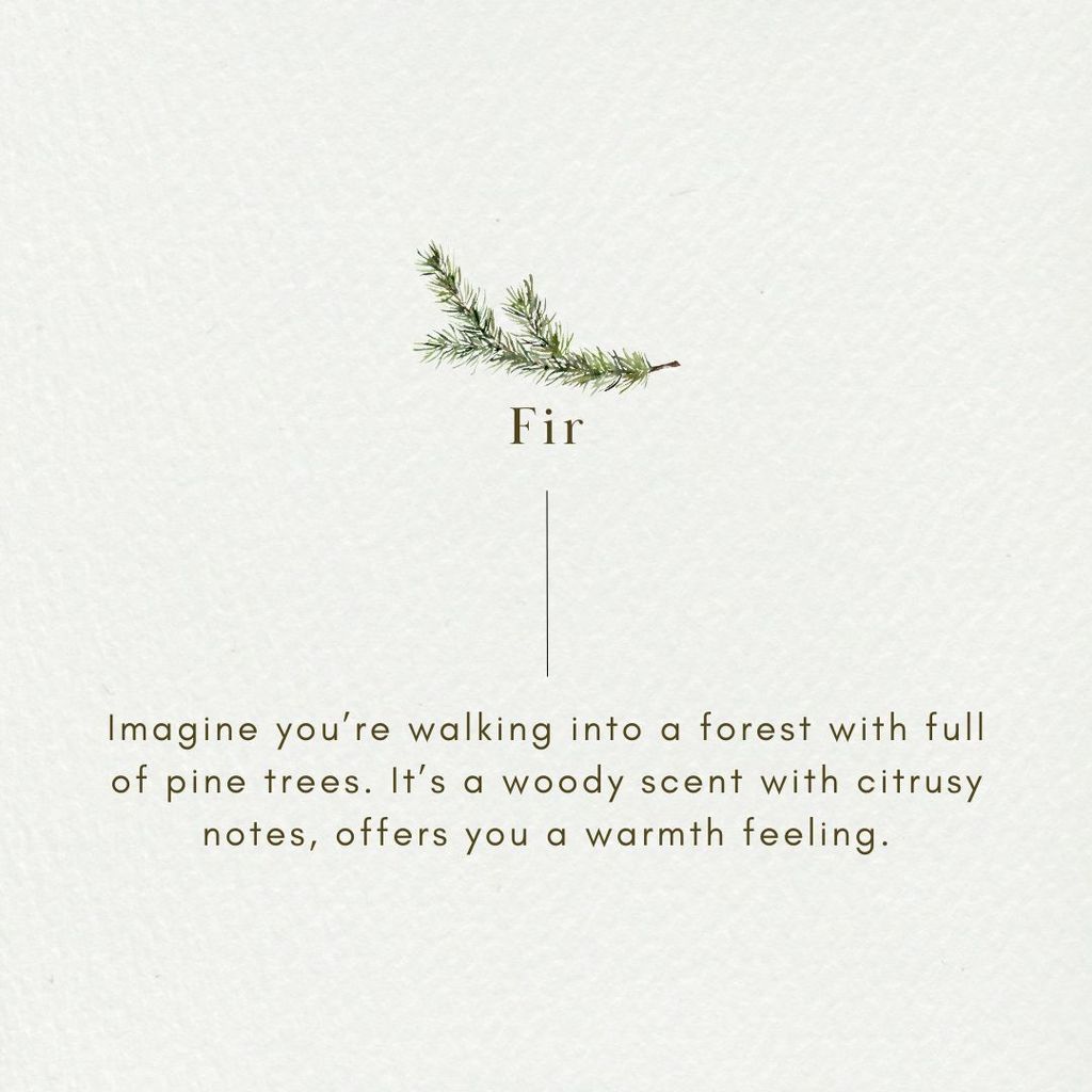 Fir