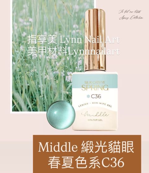 緞光貓眼 春夏色系C36