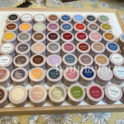 Riccagel 彩色凝膠  3g: 