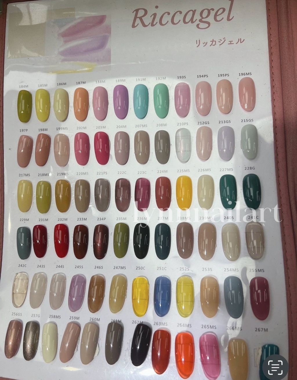 Riccagel 彩色凝膠  3g: 5g:色號備註下