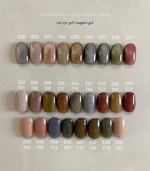 九色組  絲絨緞光貓眼膠🧲 E01-E09