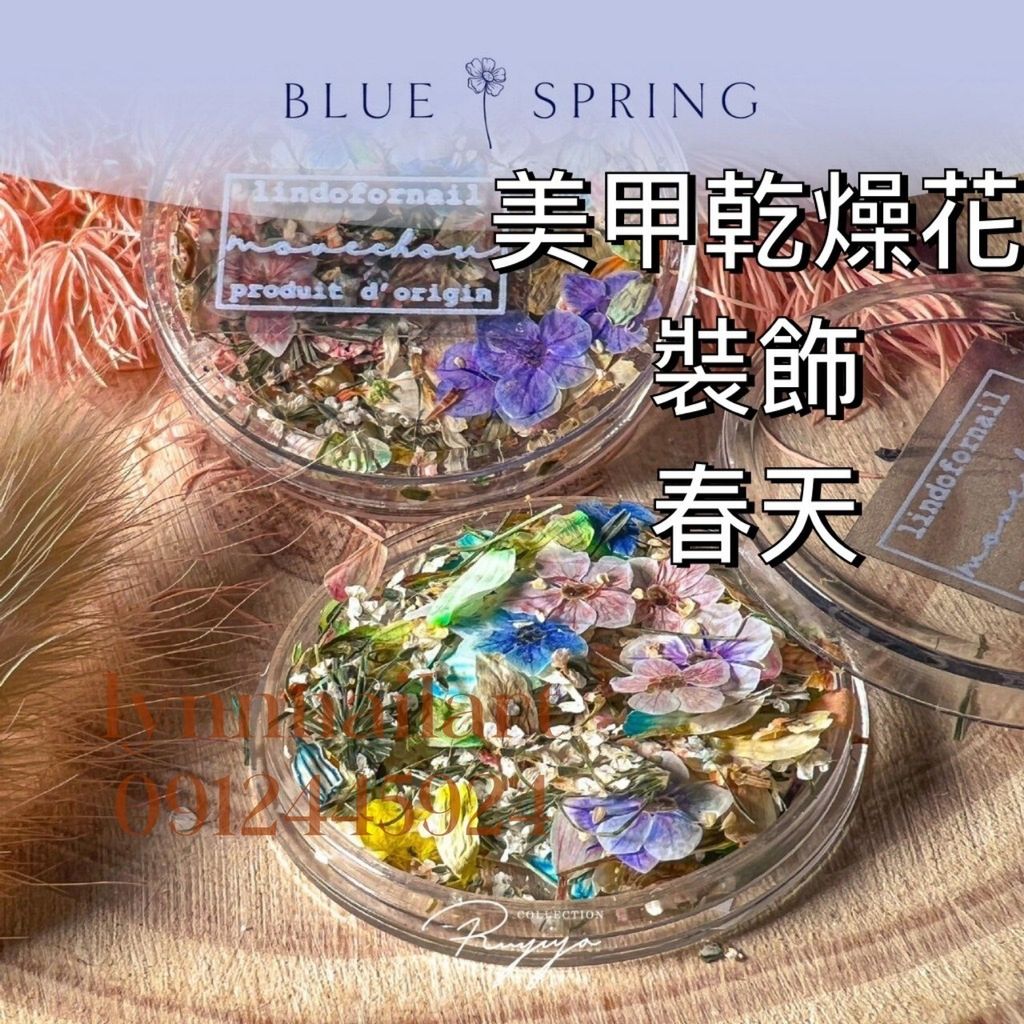 春天:單顆:美甲乾燥花