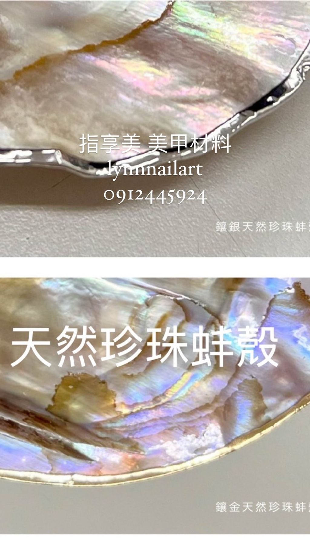 珍珠貝殼拍照道具:天