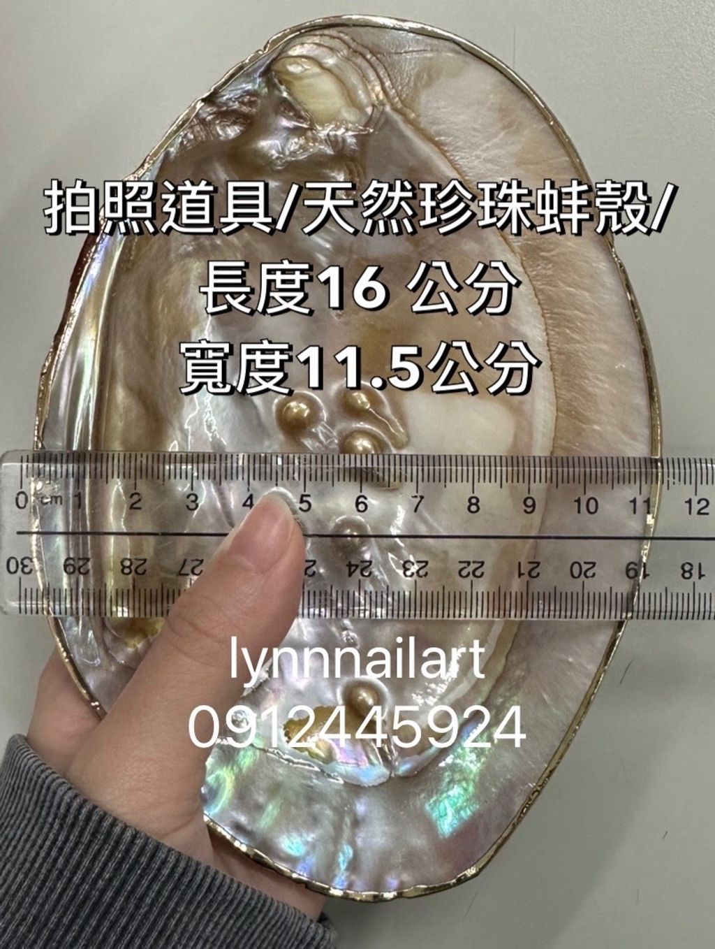 珍珠貝殼拍照道具:天然珍珠蚌殼