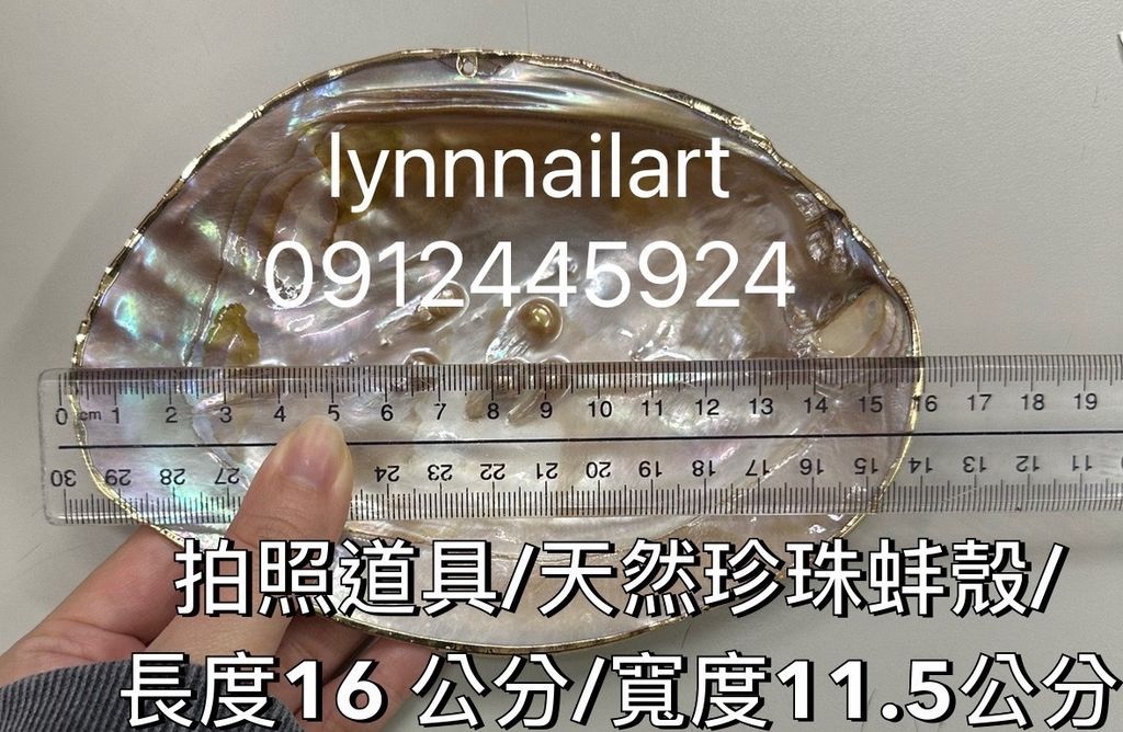 珍珠貝殼拍照道具:天然珍珠