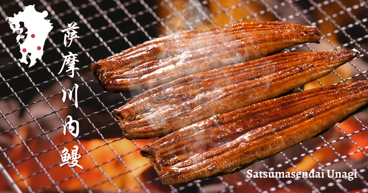 Satsumasendai Unagi | 萨摩川内鳗