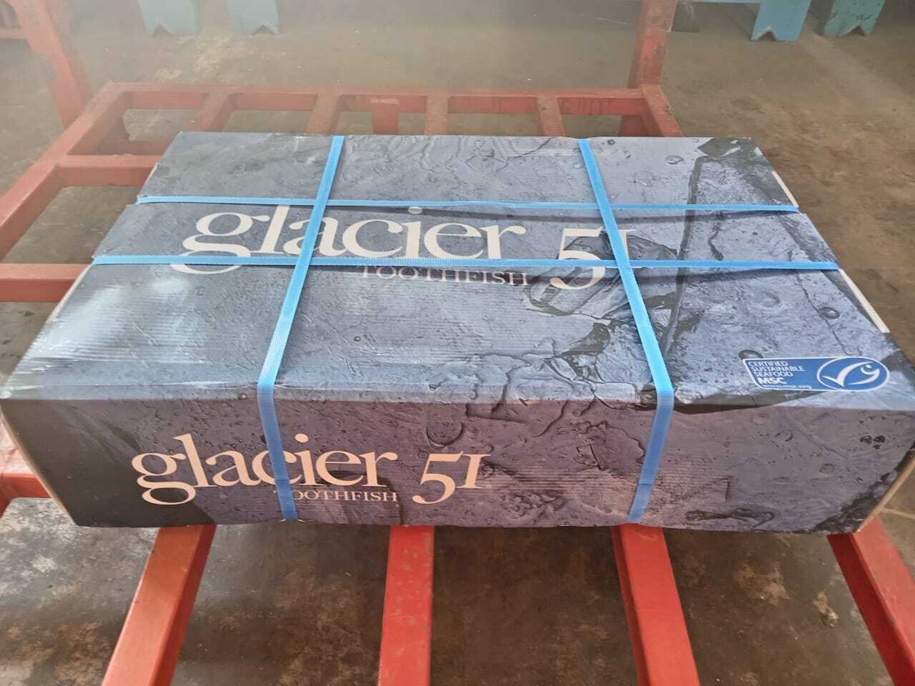 Glacier 51 ctn photo
