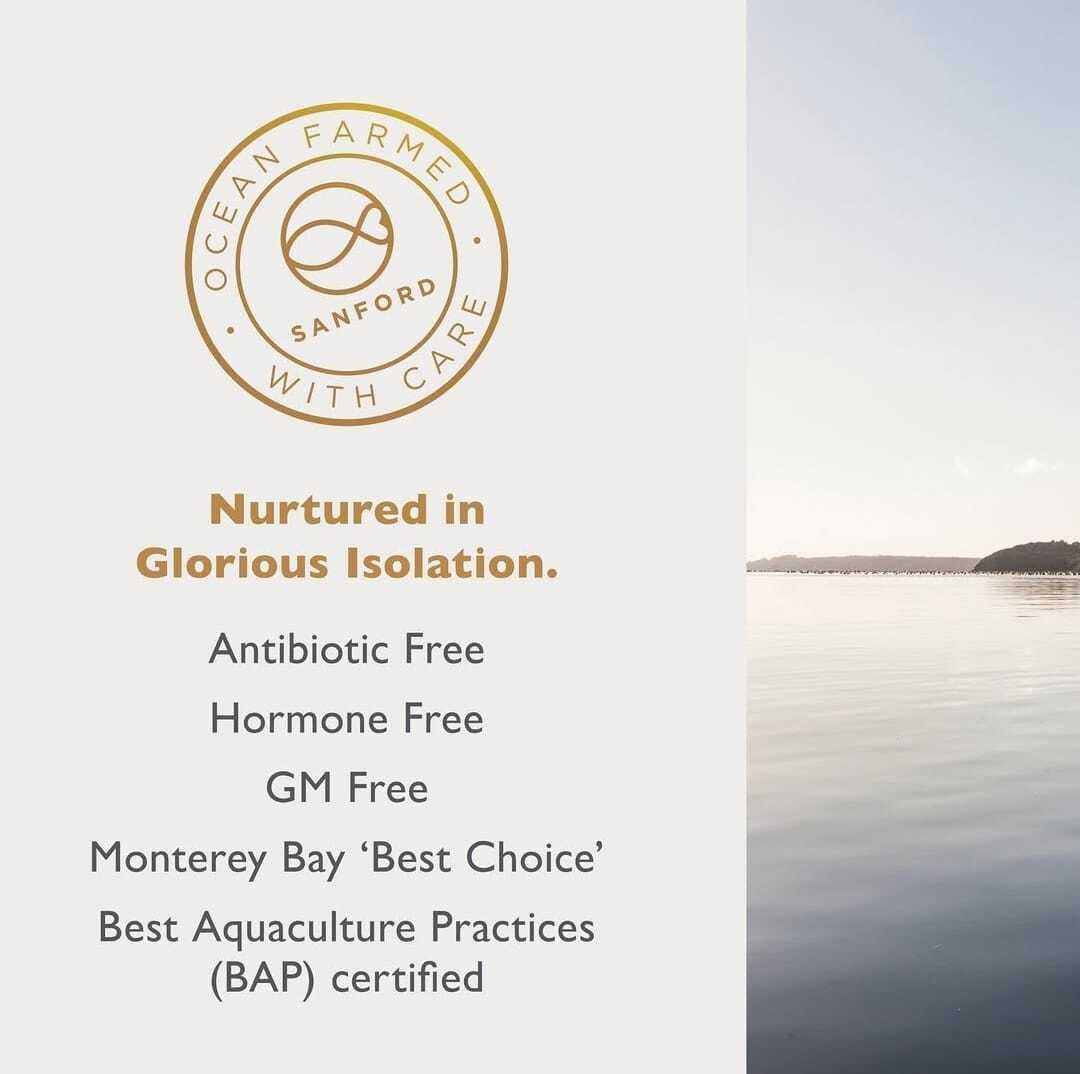 Big Glory Bay King Salmon 5