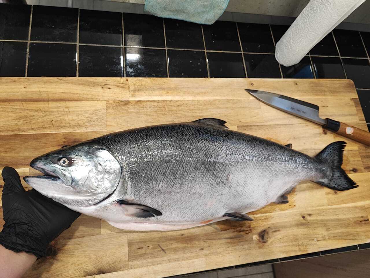 King Salmon Wholefish