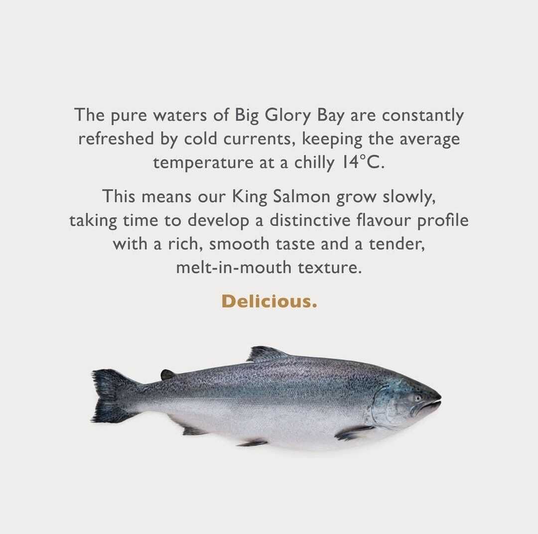 Big Glory Bay King Salmon 6