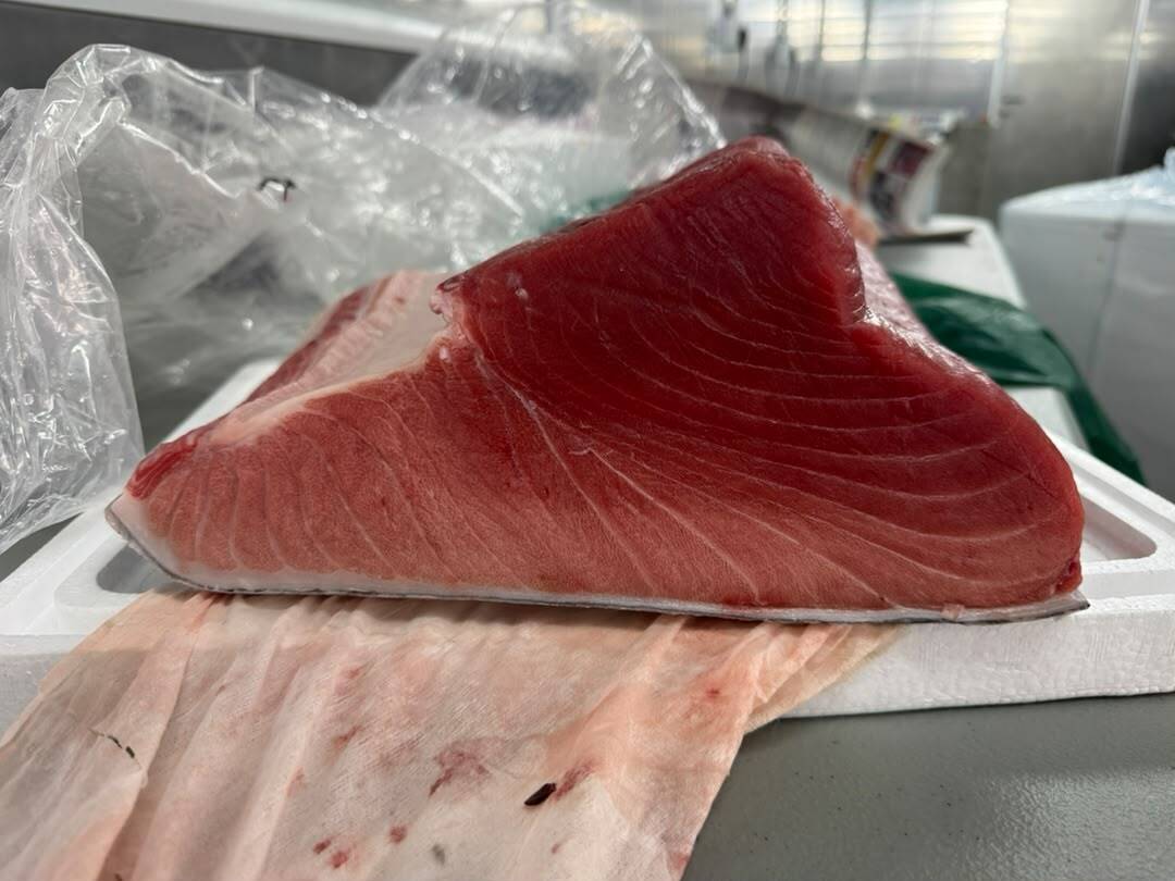 Tuna hara niban without brown meat 1