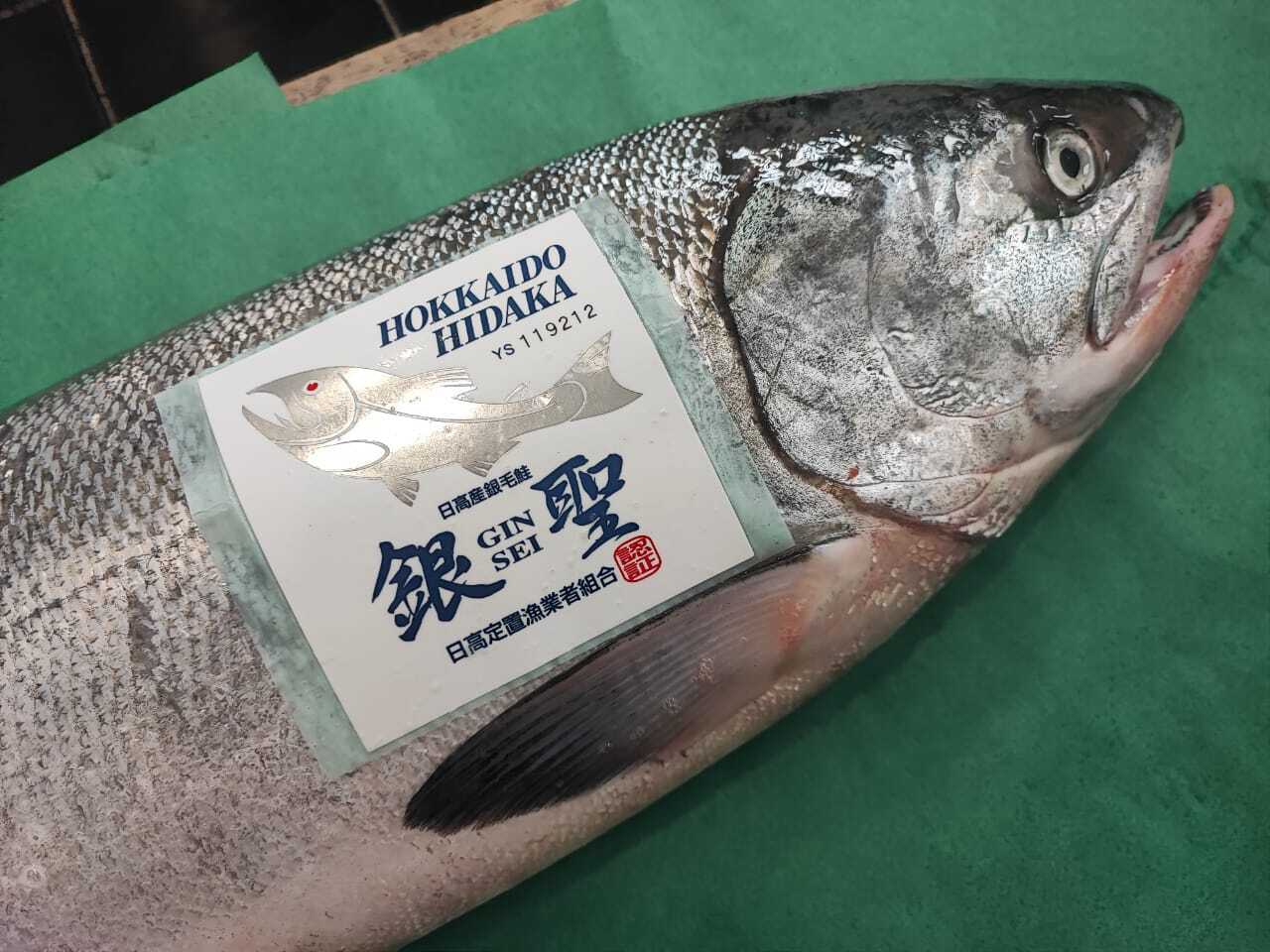 Wild Hokkaido Salmon - Gin Sei 2