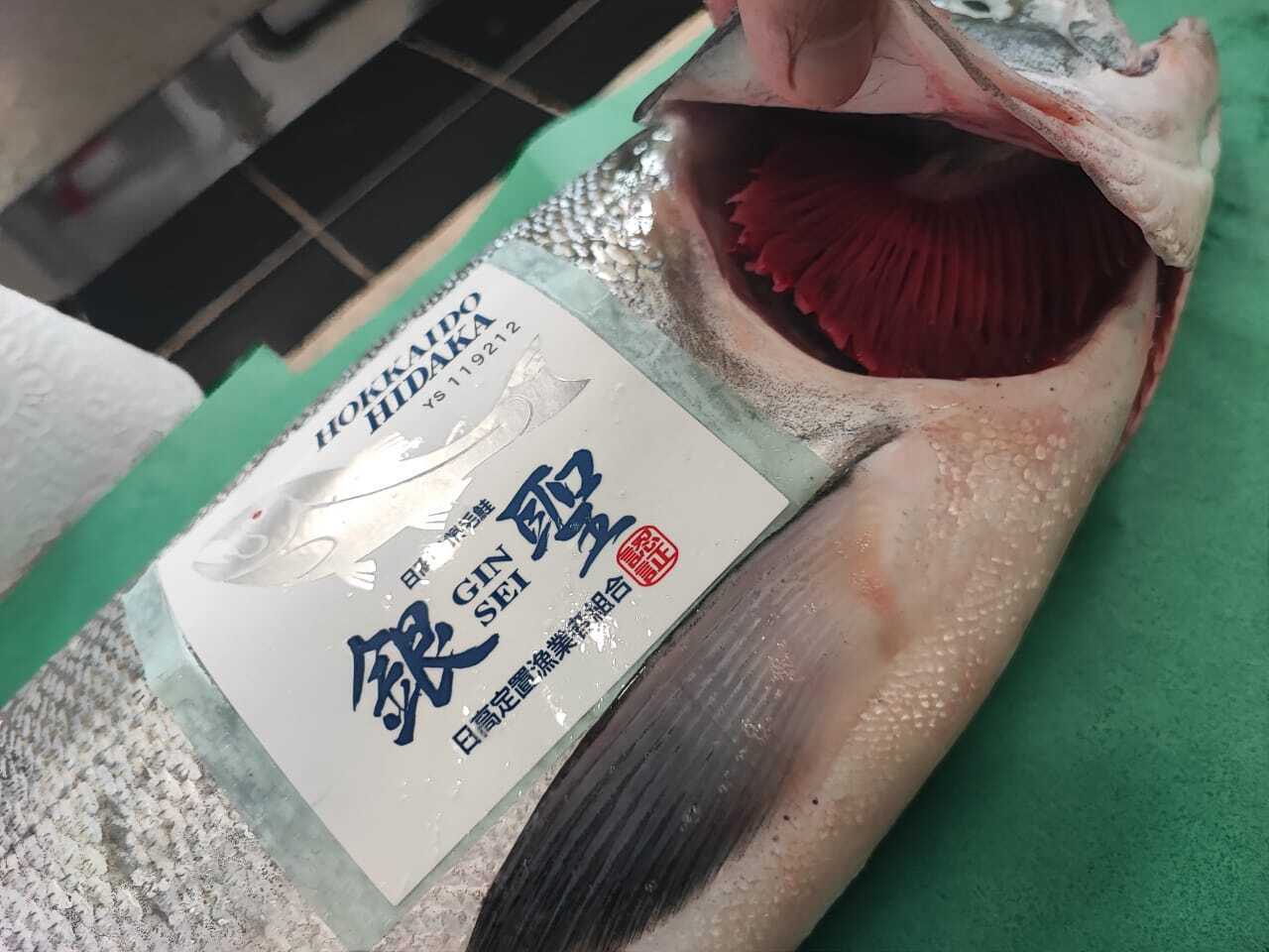 Wild Hokkaido Salmon - Gin Sei