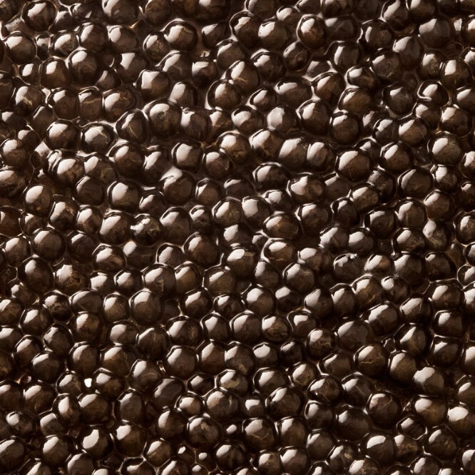 KAVIARI Baeri Caviar inside