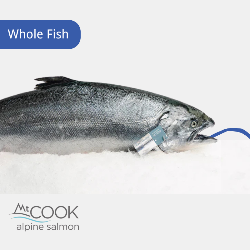 Product Image 800x800px (43)