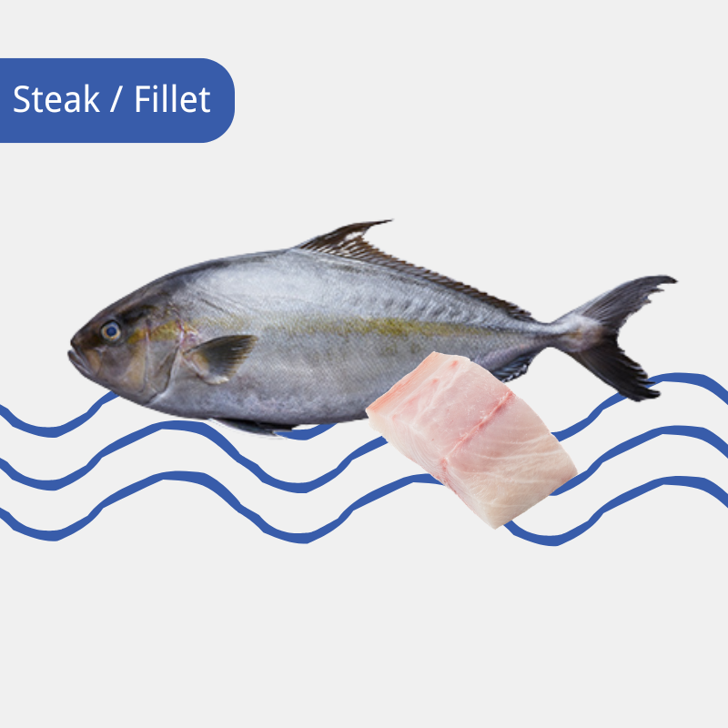 Product Image 800x800px (68)