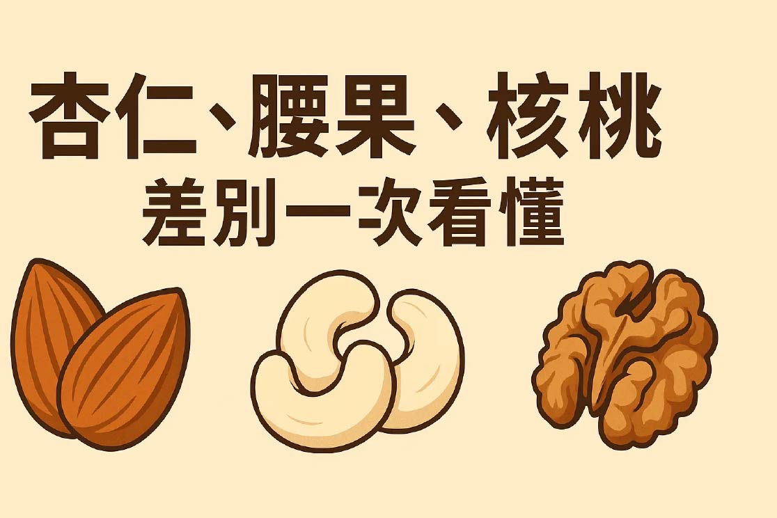 杏仁、腰果、核桃差別一次看懂-01