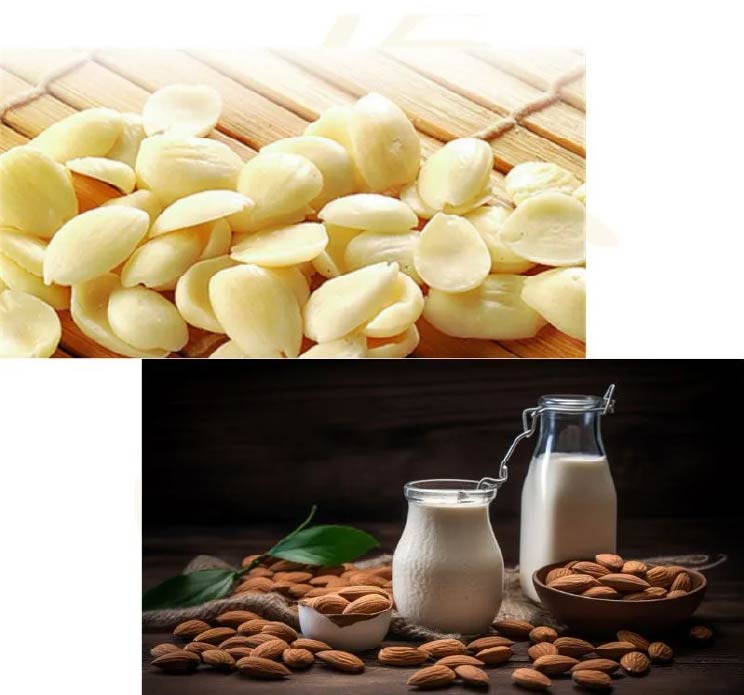 烘焙的完美結合:探索杏仁粉的多元化應用-02