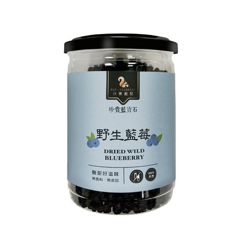 野生藍莓乾主圖1000X1000-白底