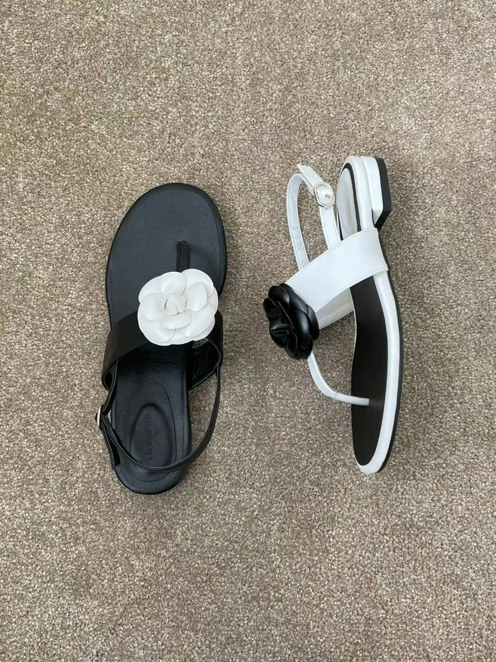 The muse. C-1-5 2024-03-03 21.10.18