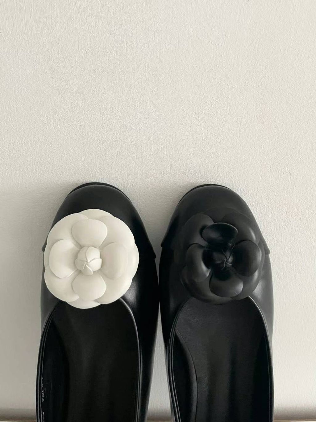 The muse. C-1-5 2024-03-03 14.02.57