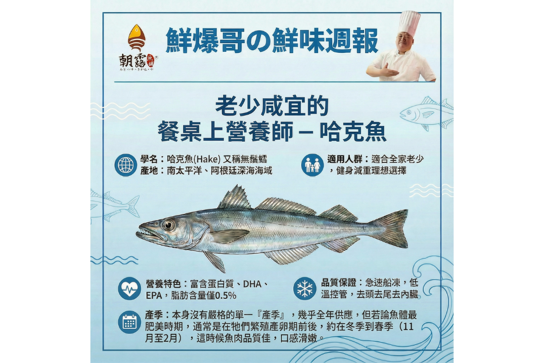 老少咸宜的餐桌上的營養師-哈克魚