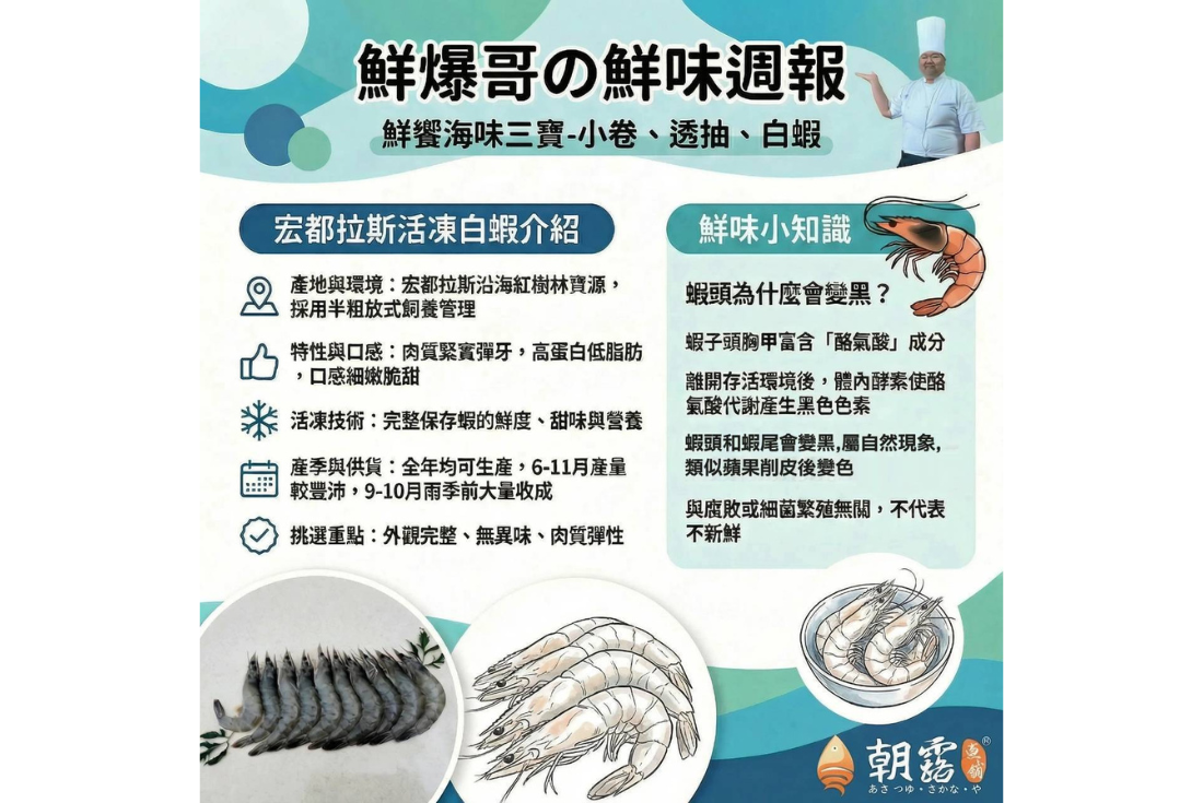 鮮饗海味三寶-小卷、透抽、白蝦