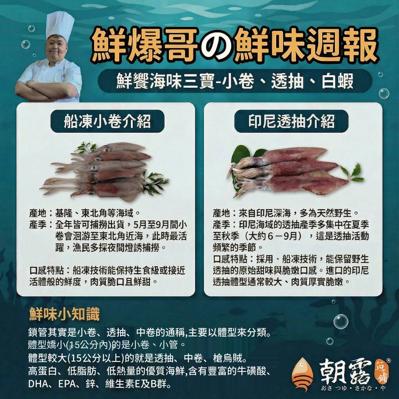 週報03-小卷透抽白蝦1