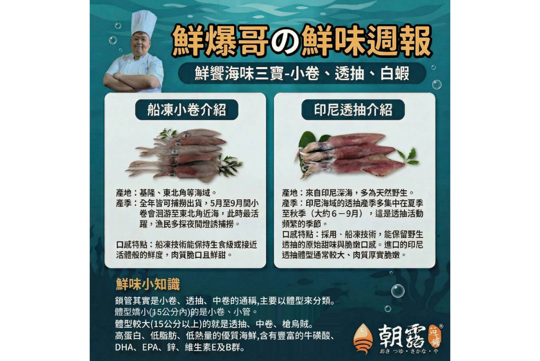 鮮饗海味三寶-小卷、透抽、白蝦